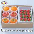 .. фрукты комплект F06 подарок фрукты набор клубника декоративный элемент pon хурма яблоко .... не . огонь . иметь futoshi осень ..jona Gold . лет .. праздник .. предварительный заказ 