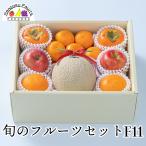 .. фрукты комплект F11 подарок фрукты набор дыня декоративный элемент pon хурма мандарин яблоко не . огонь . иметь futoshi осень меласса ...jona Gold ... лет .. праздник .. предварительный заказ 