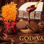 母の日 2026 花とスイーツ セット 洋ラン「ファイヤーバード」とGODIVAのラングドシャ 高級 洋蘭 花 鉢植え 希少 プレゼント ギフト 送料無料