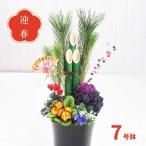 迎春コンテナガーデン門松迎春寄せ植えお正月アレンジ玄関飾りお届け期間12月...