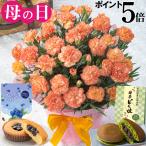 母の日 プレゼント 2026 花 カーネーション オレンジドレス 鉢植え 5号 ギフト 吉本花城園 送料無料