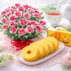 母の日 プレゼント 2026 花とスイーツ カーネーション いちごホイップ バウムクーヘン 深川養鶏 鉢植え 60代 70代 80代 園芸専門店