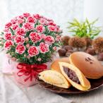 母の日 プレゼント 2026 花とスイーツ カーネーション いちごホイップ 生どら焼き 赫々 和菓子 鉢植え 60代 70代
