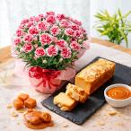 母の日 プレゼント 2026 花とスイーツ カーネーション いちごホイップ キャラメルケーキ 鉢植え 洋菓子 ギフト