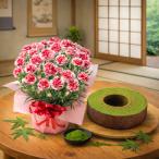 母の日 プレゼント 2026 花とスイーツ カーネーション いちごホイップ 宇治抹茶 バウムクーヘン 鉢植え 和スイーツ