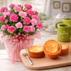 母の日 プレゼント 2026 花とスイーツ カーネーション さくらもなか 函館チーズタルト 鉢植え お菓子付き 60代 70代 80代
