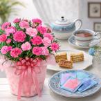 母の日 プレゼント 2026 花と紅茶とスイーツ カーネーション さくらもなか ウエッジウッド ティーセット 鉢植え ギフト