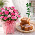 母の日 プレゼント 2026 花とスイーツ カーネーション さくらもなか 桐葉菓 和菓子 鉢植え 60代 70代