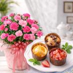 母の日 プレゼント 2026 花とスイーツ カーネーション さくらもなか 果実のカップケーキ 鉢植え 洋菓子