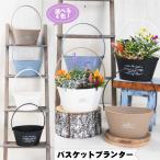 バスケット プランター 鉢 選べる6色 寄せ植え用 花苗用 球根用 におすすめ※苗は含みません。鉢のみです。