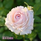 ���I �o���c ���E�\���@�W�[�k�E�e���E�G�E�p�b�V���� �f���o�[�� �X���j�[���_���[�� �l�G�炫 �� ��� ���� �o�� 6�� 2025�N12�����{�ȍ~����