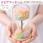 早割 母の日 プリザーブドフラワー トピアリータイプ ガラスドーム ギフト 2026 枯れない花 お手入れ不要 プレゼント 送料無料