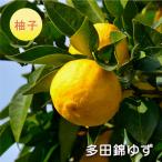 商品画像3