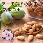 ショッピングアーモンド アーモンド 苗木 【マルコナ】4号ポット 接木苗 接ぎ木  果樹苗 落葉果樹苗