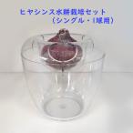 ヒヤシンス球根水栽培セットVASE...