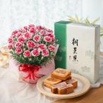 母の日 プレゼント 2026 花とスイーツ カーネーション いちごホイップ 桐葉菓 和菓子 鉢植え 60代 70代