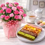 母の日 プレゼント 2026 花とスイーツ カーネーション さくらもなか 焼き菓子キュートセレクション 鉢植え ギフト