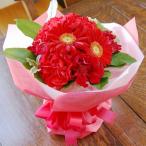 母の日 父の日 カーネーション 花瓶のいらない花束 ブーケ 赤系 ギフト生花 フラワーアレンジ プレゼント誕生日 結婚記念日 結婚祝い