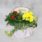母の日 父の日 寄せ植え 寄せ篭 ハンギング アレンジ 鉢植えの花 鉢植え プレゼント誕生日 結婚記念日 結婚祝い