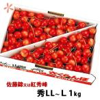 さくらんぼ 佐藤錦 2025年 予約 山形 贈答 ギフト 贈答用 佐藤錦 又は 紅秀峰 秀2L〜L 1kg バラ詰め まる勘山形 お中元 サクランボ お中元 農産物