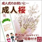 啓翁桜桜さくら花束80ｃｍホワイト...