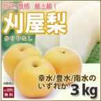 2025年 予約 梨 和梨 送料無料 刈屋梨 贈答品 約3kg 7〜9玉入り 豊水 幸水 南水 山形県酒田市 刈屋 かりやなし カリヤナシ