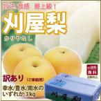 2025年 予約 梨 和梨 送料無料 刈屋梨 訳あり約3kg 豊水 幸水 南水 山形県酒田市 刈屋 かりやなし カリヤナシ