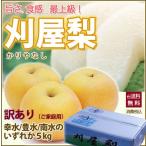 2025年 予約 梨 和梨 送料無料 刈屋梨 訳あり約5kg 豊水 幸水 南水 山形県酒田市 刈屋 かりやなし カリヤナシ