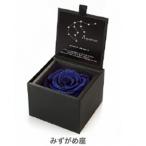 みずがめ座 1月21日から2月19日生ま