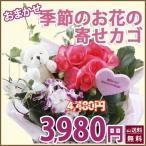 母の日 カーネーション Aセット 寄せ植え 寄せ鉢 カーネーション Bセット ギフト プレゼント 鉢植えの花 鉢植え 母の日 父の日