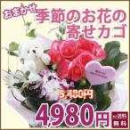 母の日 カーネーション Aセット 寄せ植え 寄せ鉢 カーネーション Cセット ギフト プレゼント 鉢植えの花 鉢植え 母の日 父の日