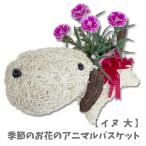 アニマルバスケット 犬 (大) 母の日 父の日 2025 プレゼント結婚記念日 赤 ピンク カーネーション ラベンダー 観葉植物 季節の花 誕生日 動物 寄せ植え