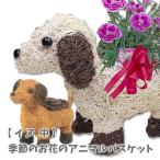 アニマルバスケット 犬 (中) 母の日 父の日 2025 プレゼント結婚記念日 赤 ピンク カーネーション ラベンダー 観葉植物 季節の花 誕生日 動物 寄せ植え