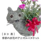 アニマルバスケット ネコ 黒 母の日 父の日 2025 プレゼント 結婚記念日 赤 ピンク カーネーション ラベンダー 観葉植物 季節の花 誕生日 動物 寄せ植え