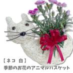 アニマルバスケット ネコ 白 母の日 父の日 2025 プレゼント 結婚記念日 赤 ピンク カーネーション ラベンダー 観葉植物 季節の花 誕生日 動物 寄せ植え