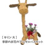 アニマルバスケット キリン 大 母の日 父の日 2025 プレゼント結婚記念日 赤 ピンク カーネーション ラベンダー 観葉植物 季節の花 誕生日 動物 寄せ植え