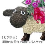 アニマルバスケット ヒツジ 大 母の日 父の日 2025 プレゼント結婚記念日 赤 ピンク カーネーション ラベンダー 観葉植物 季節の花 誕生日 動物 寄せ植え
