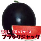 2025年 予約 ブラックジャック スイカ 種無しスイカ 種なしスイカ 秀3L 1玉入り 約8kg 1ケース 黒皮 尾花沢スイカ 山形 農産物