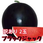 ブラックジャック スイカ 種無しスイカ 送料無料 種なしスイカ 訳あり ご家庭用 1玉入り 6kg〜7kg 2ケース 黒皮 尾花沢スイカ 西瓜