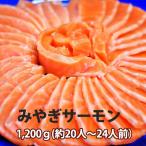  salmon sashimi ... salmon лосось половина . примерно 1200g 20 порции ~ 24 порции местного производства большой серебряный .. кижуч Atlantic salmon 