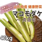 ¥Þ¥³¥â¥À¥± 40kg Ìó320ËÜ¡Á480ËÜ Á÷ÎÁ̵ÎÁ »³·Á»º ¹ñ»º ¿¿¸Öä£ ¥Þ¥³¥â¥¿¥± ¥Þ¥³¥â¥À¥±¤È¤ÏÉÄ ºÏÇÝ Ê´Ëö 40k ¥Þ¥³¥â ¼ï ¥×¥ì¥¼¥ó¥È ÇÀ»ºÊª