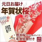 啓翁桜 年賀状桜 120cm 4〜5本 切り花 山形 花束 豪快に飾れるサイズ 花言葉 啓翁桜とは 挿し木 育て方 通販 生け方 飾り方 切花