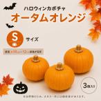  Halloween тыква сырой подлинный товар o-tam orange S 3 шт ( диаметр примерно 12~15cm) местного производства тыква украшение .. для Jack o- фонарь 