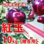 りんご リンゴ リンゴ 紅玉 こうぎょく りんご 10kg 贈答用 山形県大江町本郷 こおぎょく