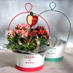 母の日 花 2022年 予約 寄せ植え ベコニア カランコエ カーネーション 観葉植物 3個セット サンコフ sm-7 鉢植え 生花 花 プレゼント 花ギフト