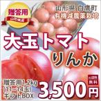  помидор большой шар Lynn ka