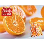 柑橘詰合せ4500円(セット 詰め合わせ)