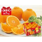 デコタンゴール約7kg-贈答用