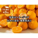 ワケありデコタンゴール約3kg