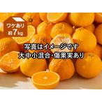 ワケありデコタンゴール約7kg